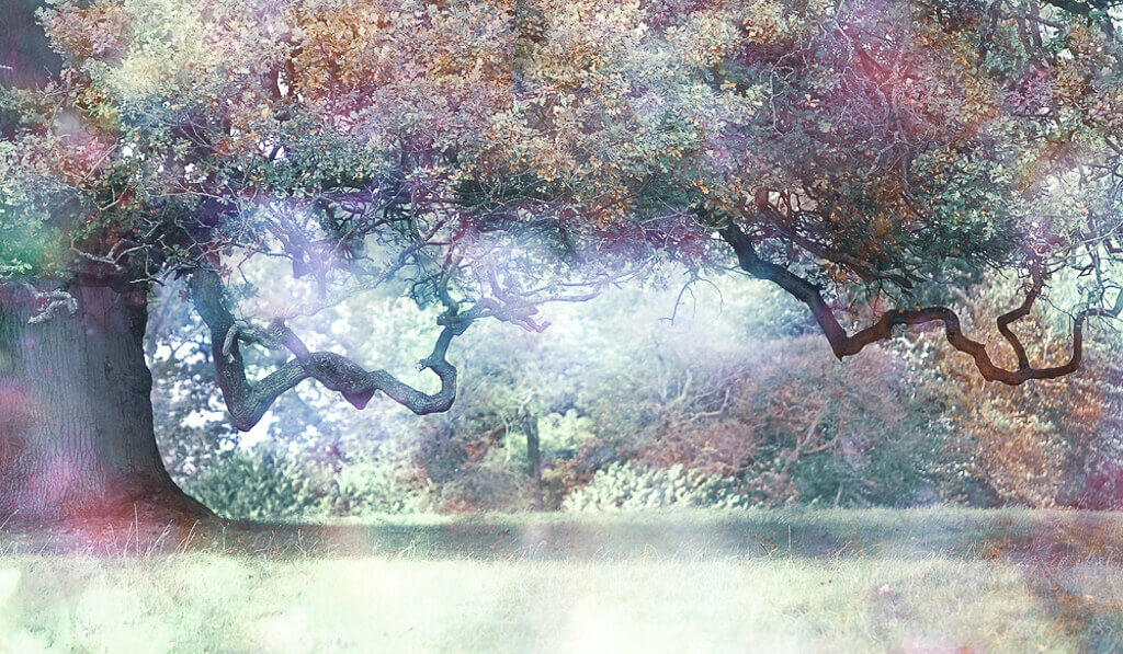 A tree with different colors